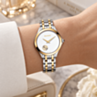Saat Balmain B47523916