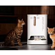 Smart yem qabı Petkit Yumshare 2 P592