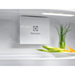 Soyuducu Electrolux ERD6DE18S1