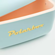 Термосумка Polarbox 20L PLB20/C/CLASS