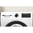 Paltaryuyan Bosch WNA25401ME