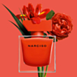 Narciso Rodriguez Rouge EDP W 90 ml