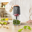 Измельчитель TEFAL Moulinette Easypress 1510002988