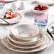Serviz dəsti Schafer Sakura 70 parça 8699131914533