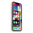 Чехол iPhone 14 Silicone With MagSafe-Succulent MPT13ZM/A