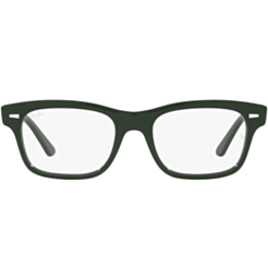 Оптическая оправа Ray-Ban RX5383 8226 54 M