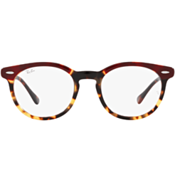 Оптическая оправа Ray-Ban RX5598 8250 51 U