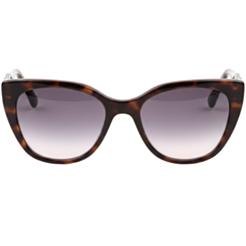 Солнцезащитные очки Ana Hickmann AH9424 E01