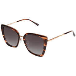 Солнцезащитные очки Ana Hickmann AH3291 E01A