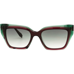 Солнцезащитные очки Ana Hickmann AH9455 H01