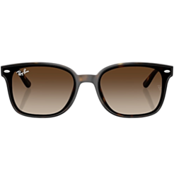 Солнцезащитные очки Ray-Ban RB4461D 710/13