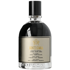 Унисекс парфюм Moudon Enigma EXDP 100 мл PCMD0289 