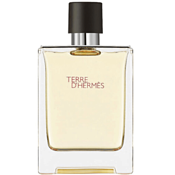 Kişi parfümü Hermes Terre D'Hermes EDT 100 ml 3346130009603