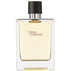 Мужской парфюм Hermes Terre D'Hermes Parfum 200 мл 3346130013501  