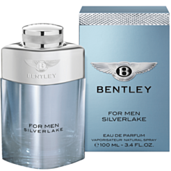 Kişi parfümü Bentley Silverlake EDP 100 ml B140808