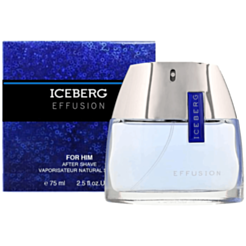 Kişi parfümü Iceberg Effusion EDT 75 ml 40298620