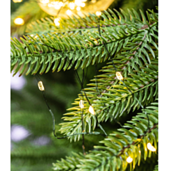 Yeni il işıqları CC 405-31 / 041466