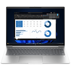 Ноутбук HP PB4G1AH16 R5-220 (B39WJAT)