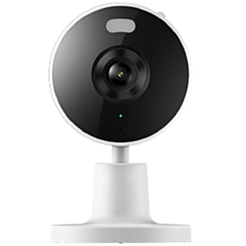 Камера Xiaomi C100 (MJSXJ25CM) BHR07VOGL