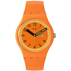 Saat Swatch SO29O700