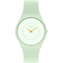 Часы Swatch Skin SS09G101