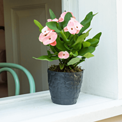 Plastik 1KSAKS0164244