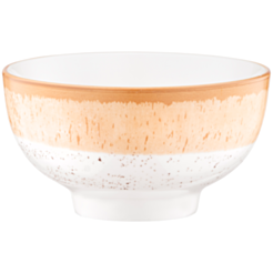 Salat qabı Ardesto Siena AR2914SBG