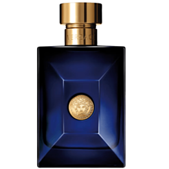 Мужской парфюм Versace Dylan Blue EDT 100 мл VER721010 