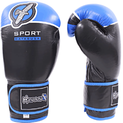 Boks əlcəyi Aspo Hayabusa Original mavi 10 OZ 530961