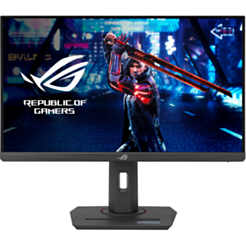 Monitor Asus ROG Strix XG259QNS (90LM09M0-B01370)