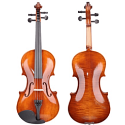Skripka Amati VG002HPA-4/4