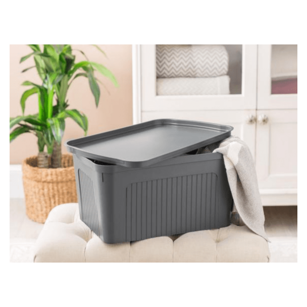 Orqanayzer 1KOGNZ0061244