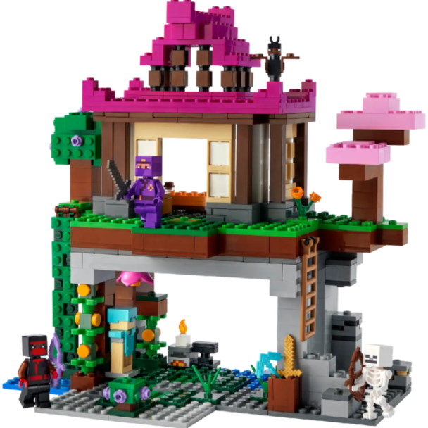LEGO Minecraft The Training Grounds 21183 / 5702017156613	