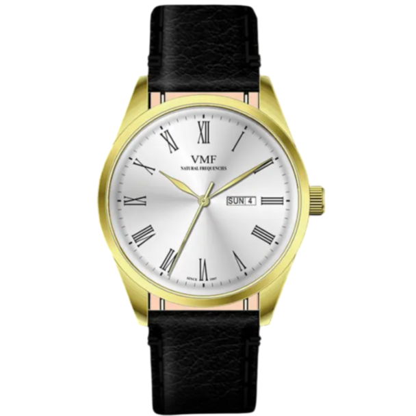 Часы VMF V4136/4PS9/6M7/41