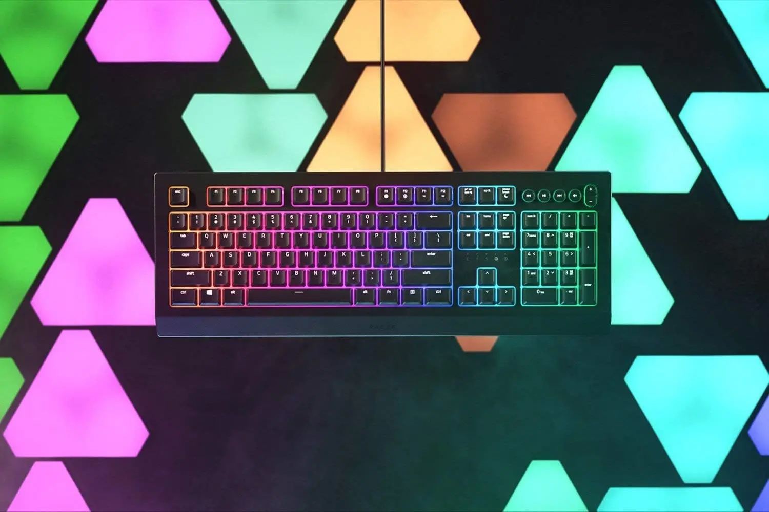 Razer Keyboard Cynosa V2-image-4