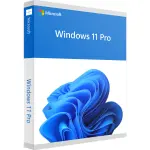 Windows 11 Pro-thumb-1