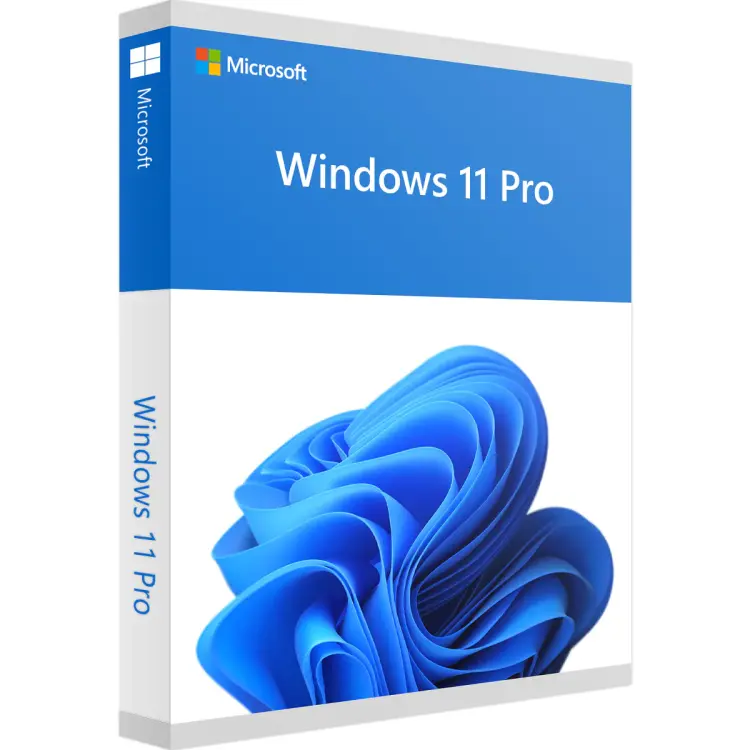 Windows 11 Pro-image-1