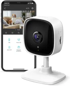 TP-Link-TAPO C100 (Home Security Wi-Fi Camera)