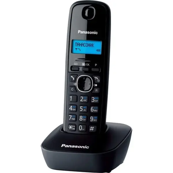 PANASONIC KX-TG1611UAH-image-1