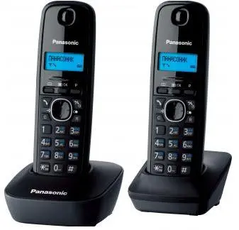 PANASONIC KX-TG1612UAH-image-1