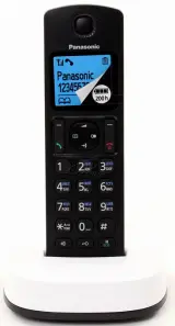 PANASONIC KX-TGC310UC2