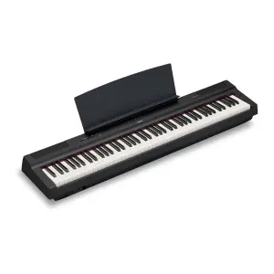 YAMAHA P-125AB